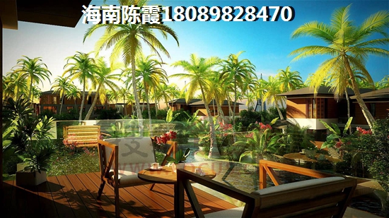 海南海口哪个地区会生纸？