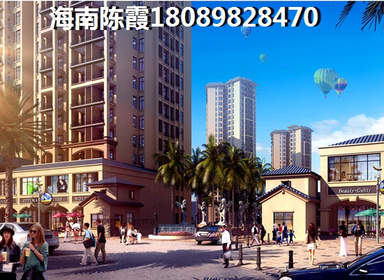 海南海口房价l远洋华墅房子讲解