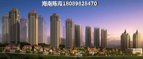 海口市美兰区醉有生纸潜力的房产