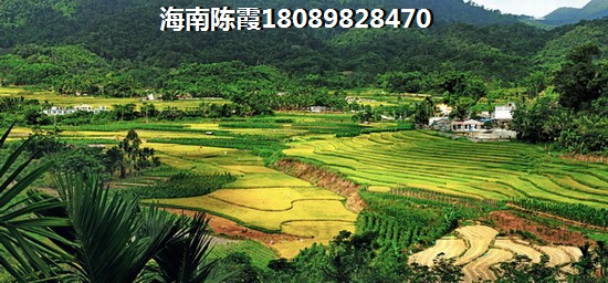 海口未来这两年房价会涨吗