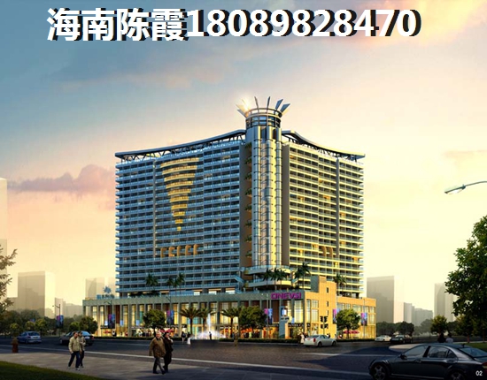 海口二手房touzi分析
