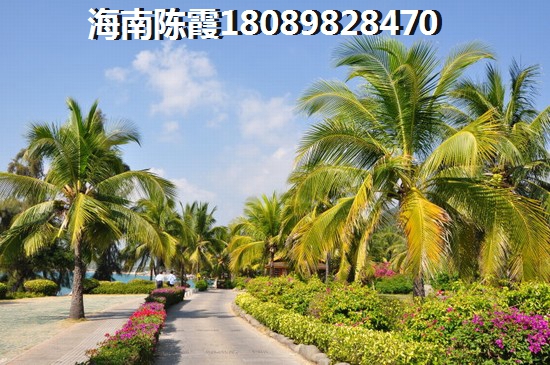 海口美兰区生纸空间大吗现在