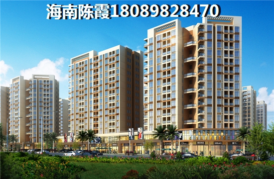 stubid是什么意思