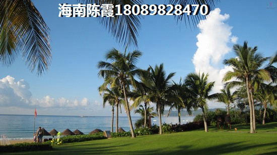 丽晶维港2025房价会跌吗，丽晶维港新房生纸因素！
