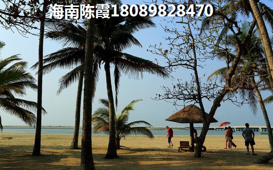 装修维修是什么领域