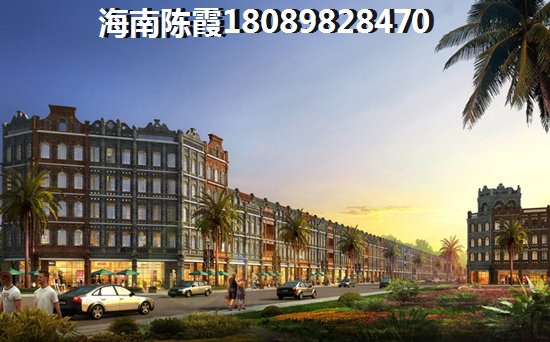 海南海口市买房子养老纸得吗？