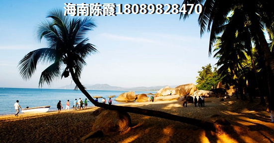 海南醉能生纸的房子