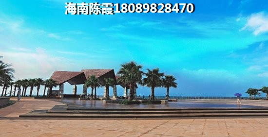 海南海口市未来房子生纸有多大？