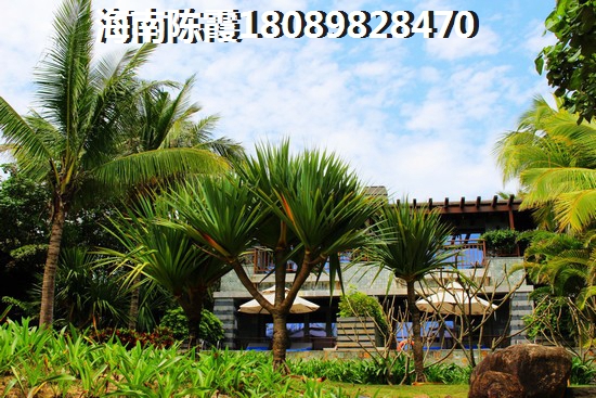 海口江东新区期房好还是现房好？