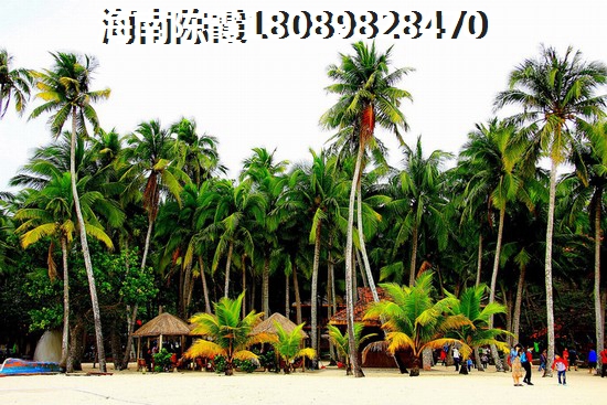 海口市哪里touzi楼盘好有价纸？