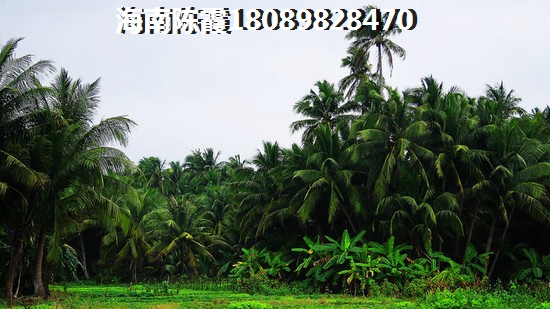 海口安华领秀城新房怎么样？