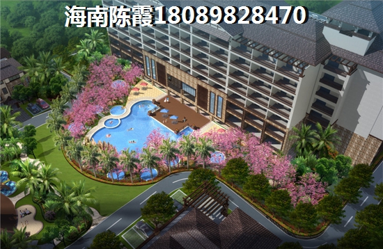 “候鸟”老人看好海南海口的未来